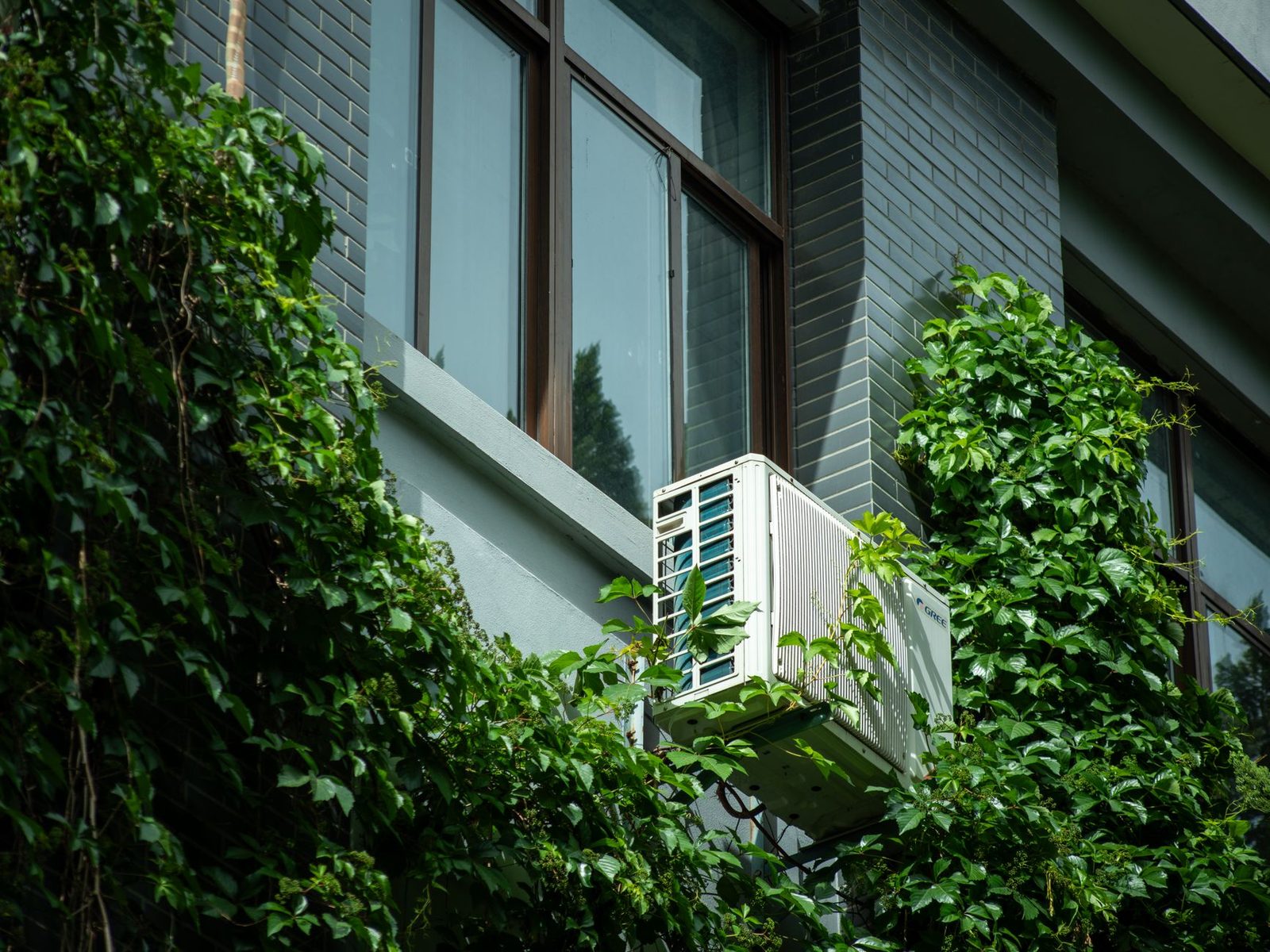 Unità esterna di climatizzazione fissata sulla facciata di un edificio, circondata da vite americana accanto a una finestra